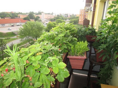 Balkon